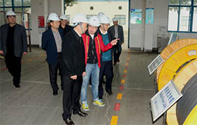 2015年11月22日，郎溪縣黨政代表團(tuán)一行來上上電纜參觀考察
